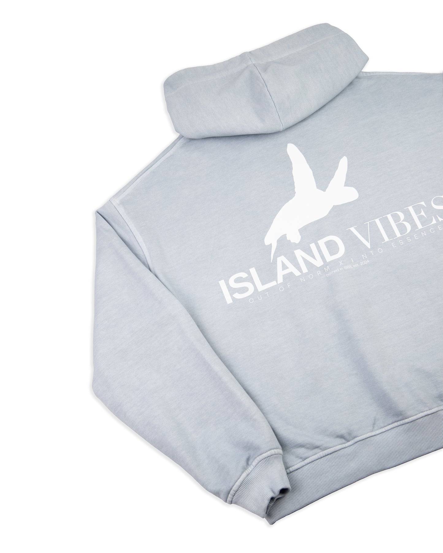 Polerón gorro celeste