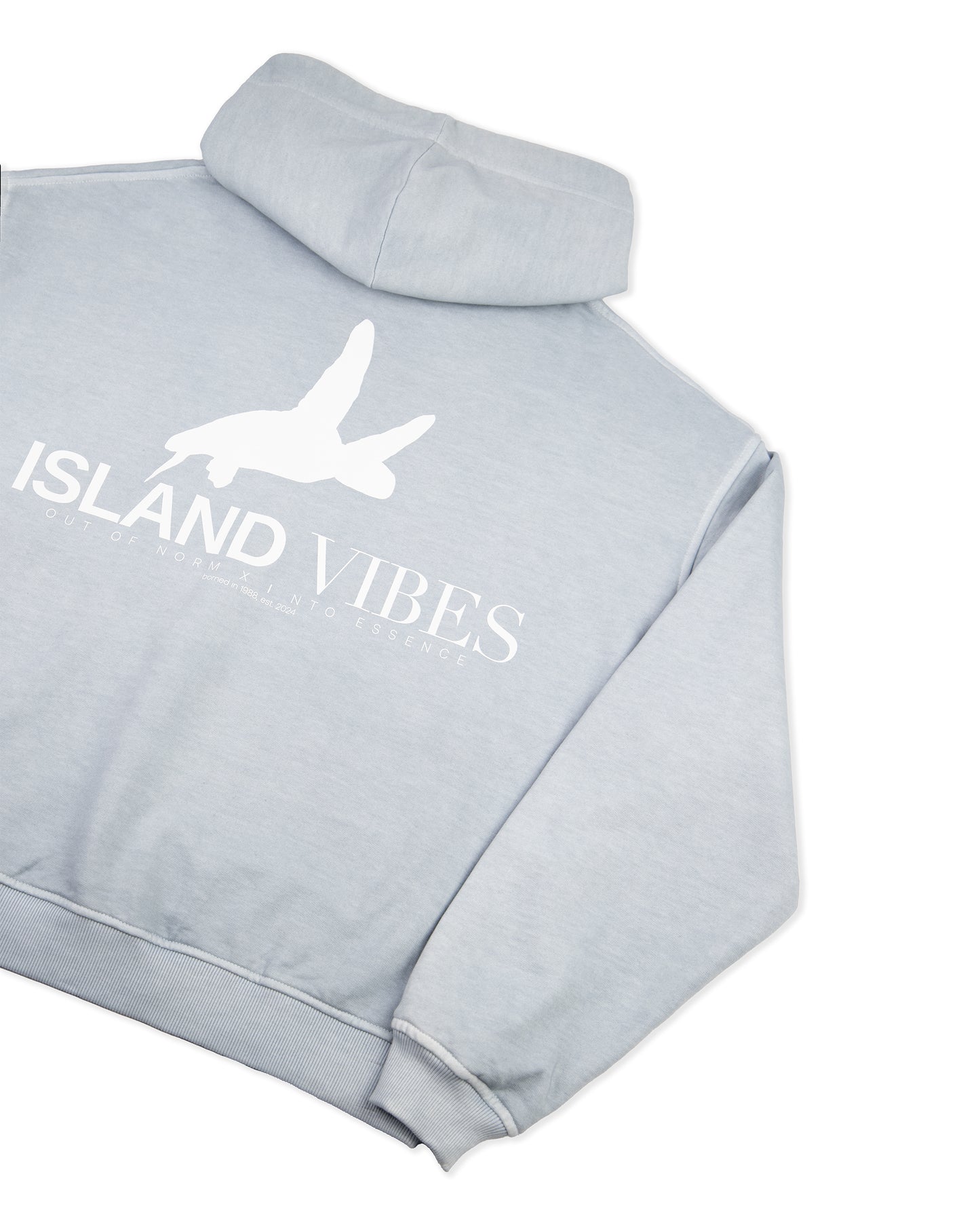 Polerón gorro celeste