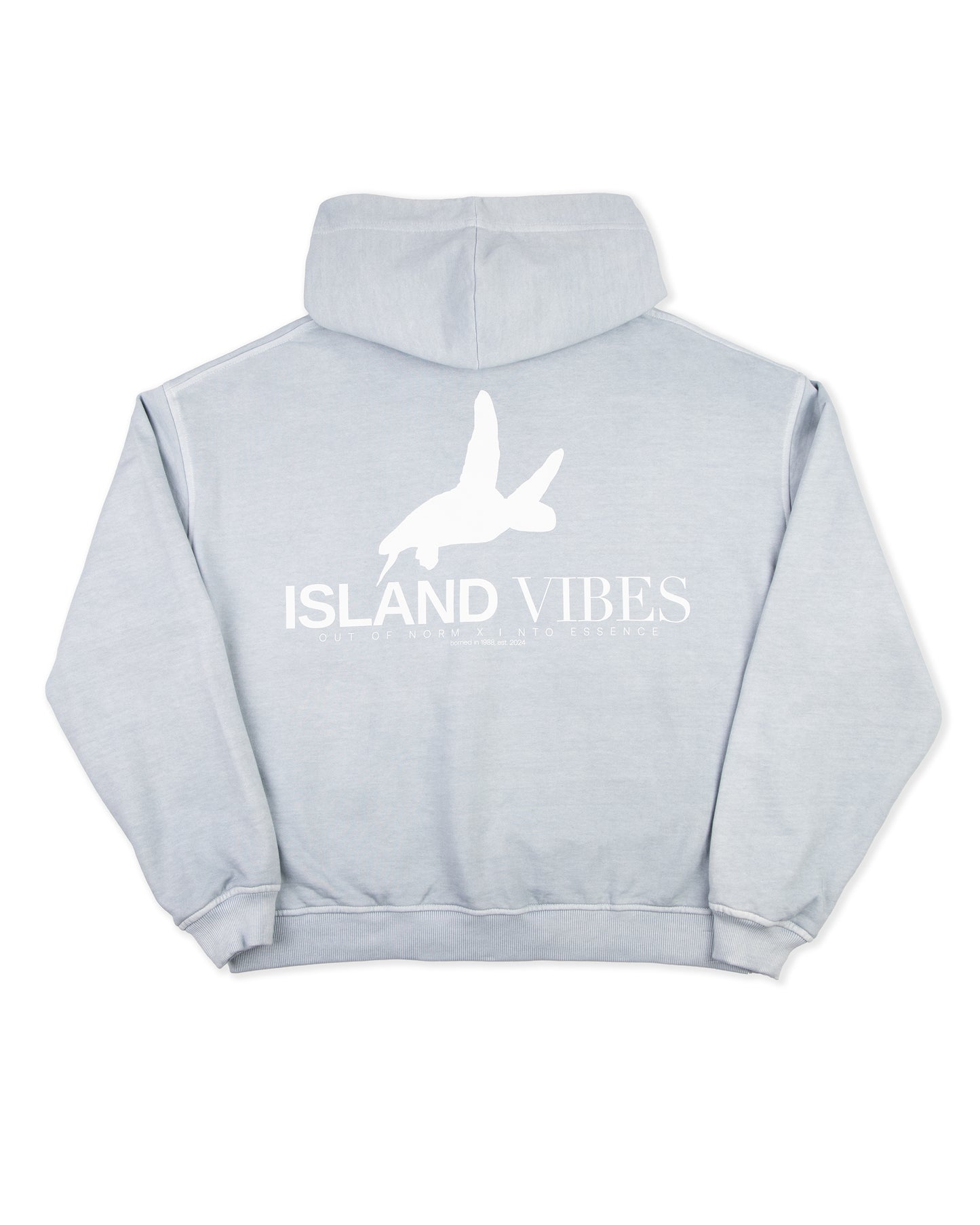 Polerón gorro celeste