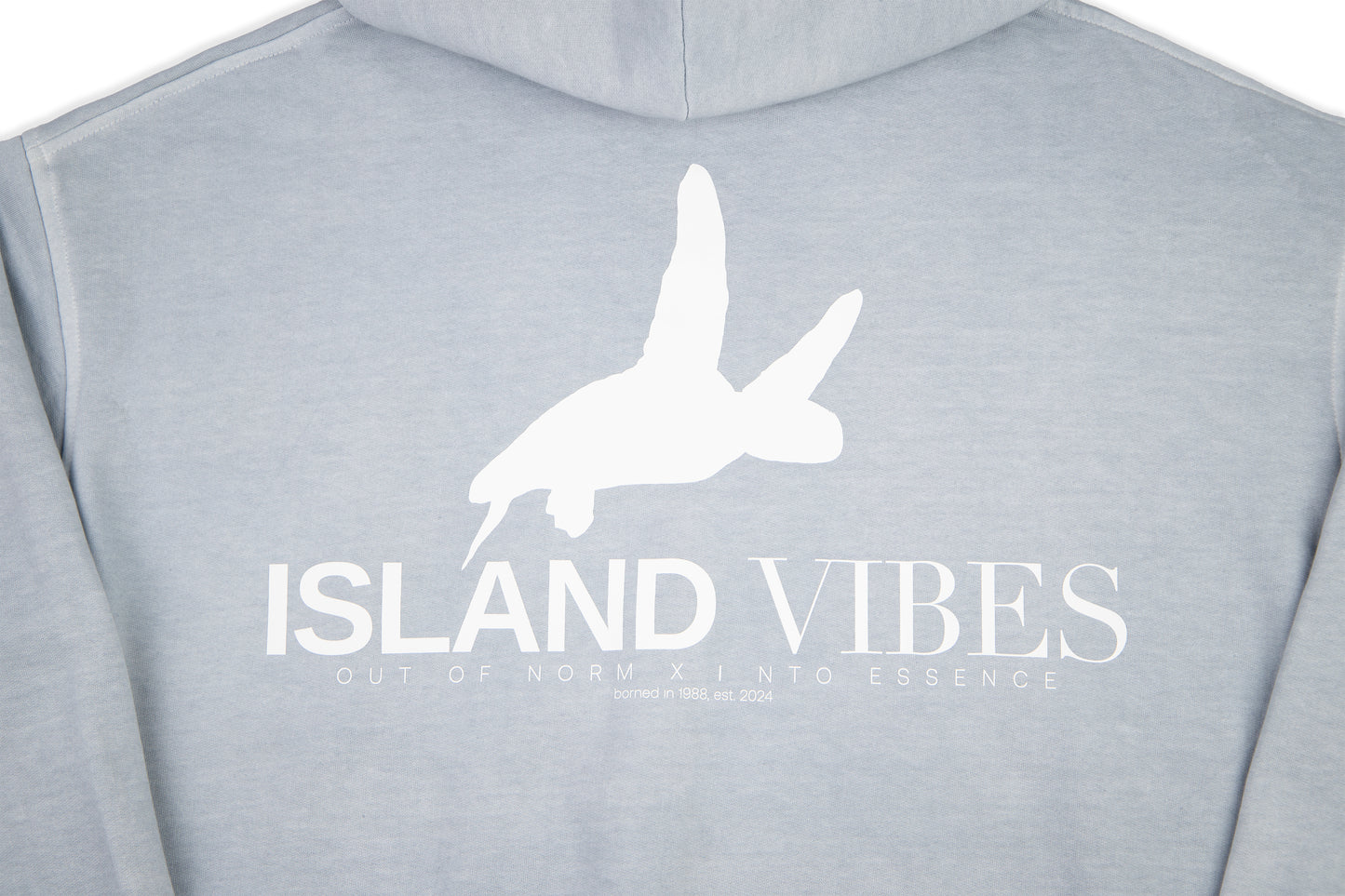 Polerón gorro celeste